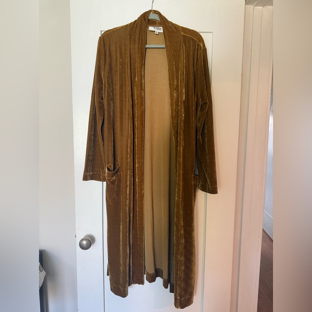 Velvet coat from Anthropologie